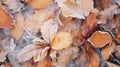 Frost covered closeup autumn leaves beautiful background. Cold weather frozen winter seasonal scene Royalty Free Stock Photo