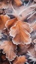 Frost covered closeup autumn leaves beautiful background. Cold weather frozen winter seasonal scene Royalty Free Stock Photo