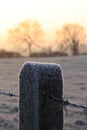 Frost covered fence post