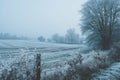 A frost-covered field with trees and a fence under a cold winter sky, A frosty countryside viewed from a train window, AI Royalty Free Stock Photo