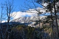 Frost covered forest bellow Jelovica in Gorenjska, Slovenia Royalty Free Stock Photo