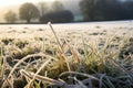 frost-covered grass in an unseasonal cold snap in a meadow Royalty Free Stock Photo