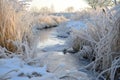 Frost-covered grasses framing a narrow icy brook