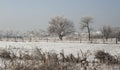Frost covered landscape Royalty Free Stock Photo