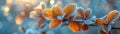 Frost-covered leaves on a brisk winter morning