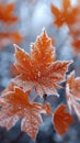 Frost-covered leaves on a brisk winter morning