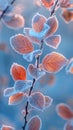 Frost-covered leaves on a brisk winter morning