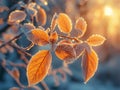 Frost-covered leaves on a brisk winter morning