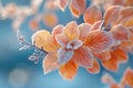 Frost-covered leaves on a brisk winter morning