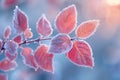 Frost-covered leaves on a brisk winter morning