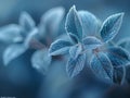 Frost-covered leaves on a brisk winter morning