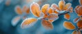 Frost-covered leaves on a brisk winter morning