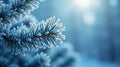 Frost-covered pine branches in winter vector background Royalty Free Stock Photo