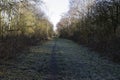 On a frost covered treelined path along a former railway line