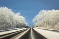 Frost covered trees along both sides of highway.