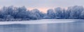 Frost-covered trees on the banks of an ice-bound river in the morning during sunrise