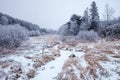 Frost covered Wisconsin forest with a frozen stream in the middle Royalty Free Stock Photo