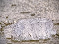 Frost crystal border between floe and dark water on lake. Natural view Royalty Free Stock Photo