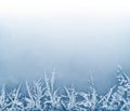 Frost Crystal Border on Ice Royalty Free Stock Photo