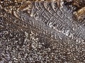 Frost crystals on a brown color surface. Winter cold season concept. Freezing weather. Selective focus. Nature background