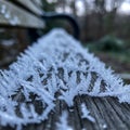 Frost crystals cover a wooden bench in a park setting. The intricate ice formations ar Royalty Free Stock Photo