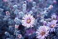 Crystals covered lilac flowers in the autumn garden on a cold morning