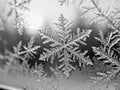 Frost crystals forming abstract pattern on window - AI generated Royalty Free Stock Photo