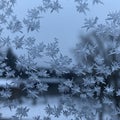 Frost crystals intricately cover a window, forming unique, delicate patterns. Royalty Free Stock Photo