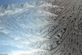 Frost flowers Royalty Free Stock Photo