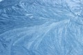 Frost flowers on a frozen flat surface