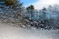 Frost flowers on window