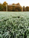 Frost on a Football Pitch Royalty Free Stock Photo