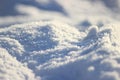 Frost freshness purity frozen plants stand in snow