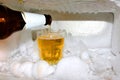 Frost and glass of beer in the fridge. Royalty Free Stock Photo