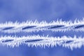 Frost Ice Crystals on Wire Royalty Free Stock Photo