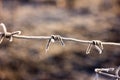 Frost Ice Crystals on Wire Royalty Free Stock Photo