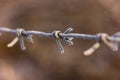 Frost Ice Crystals on Wire Royalty Free Stock Photo