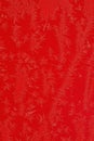 Frost Iceflower on red Royalty Free Stock Photo