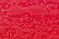 Frost Iceflower on red Royalty Free Stock Photo