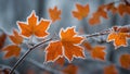 Frost-Kissed Foliage: Close-Up of Branches and Leaves in Winter. AI Generated