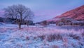 Frost morning at Loch Awe in Scottish Highlands Royalty Free Stock Photo