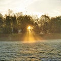 Frost over grassland