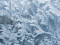 Frost pattern, ice flowers on window glass Royalty Free Stock Photo