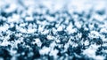 Frost pattern. White frozen ice texture. Cold snow winter background. Blue crystal frost abstract pattern. Royalty Free Stock Photo