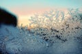 Frost pattern on window glass in winter cold blue light with orange and pink glimpses of sunset. Christmas and New Year Royalty Free Stock Photo