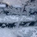 Frost Pattern on Winter Window