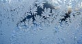 Intricate frost patterns adorn a glass Royalty Free Stock Photo