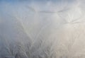 Frost Patterns on Glass