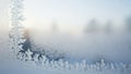 Frost patterns on a glass window create intricate feathery designs along Royalty Free Stock Photo