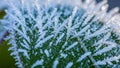 Frost patterns typically occur under cold clear conditions when Royalty Free Stock Photo